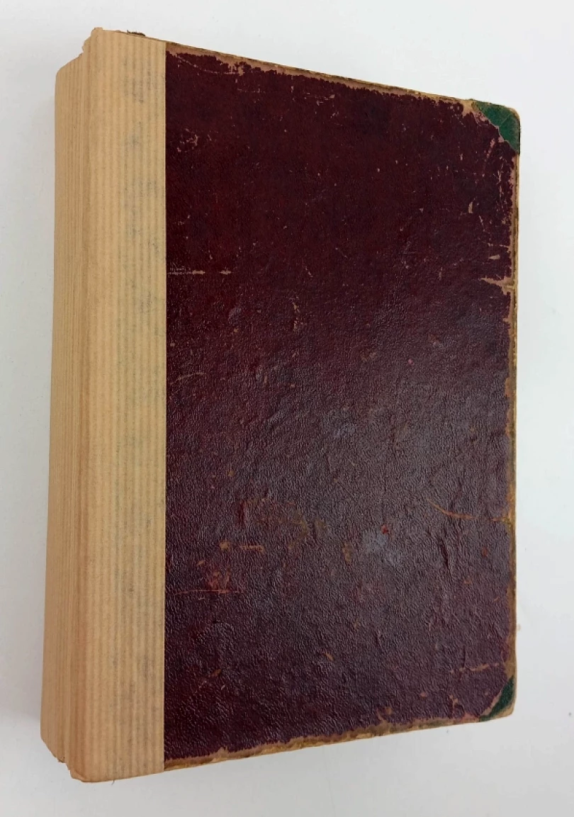 Nejúplnější a nejspolehlivější snář obsahující výklad všech snů a čísla ke šťastným výhrám v loterii (Anna Nováková ze Lhoty, 1917)...