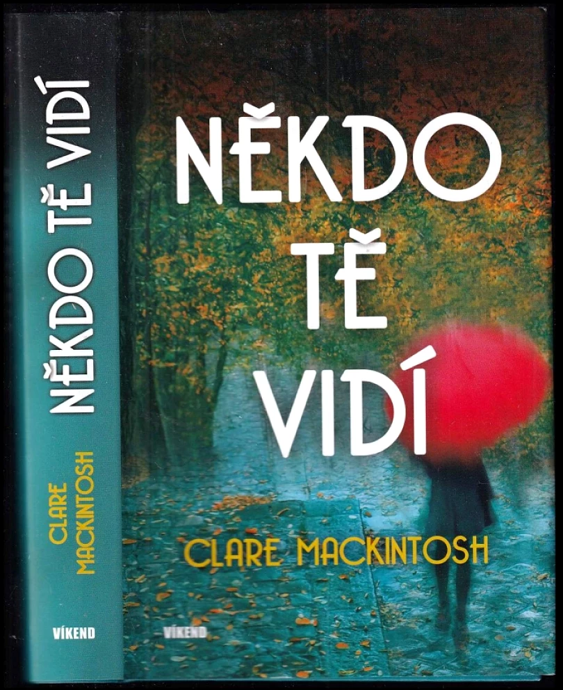 Někdo tě vidí (Clare Mackintosh, 2017)