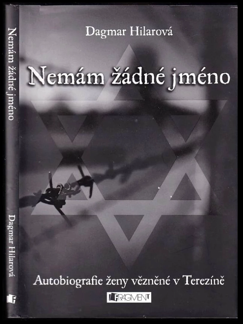 Nemám žádné jméno (Dagmar Hilarová, 2012)