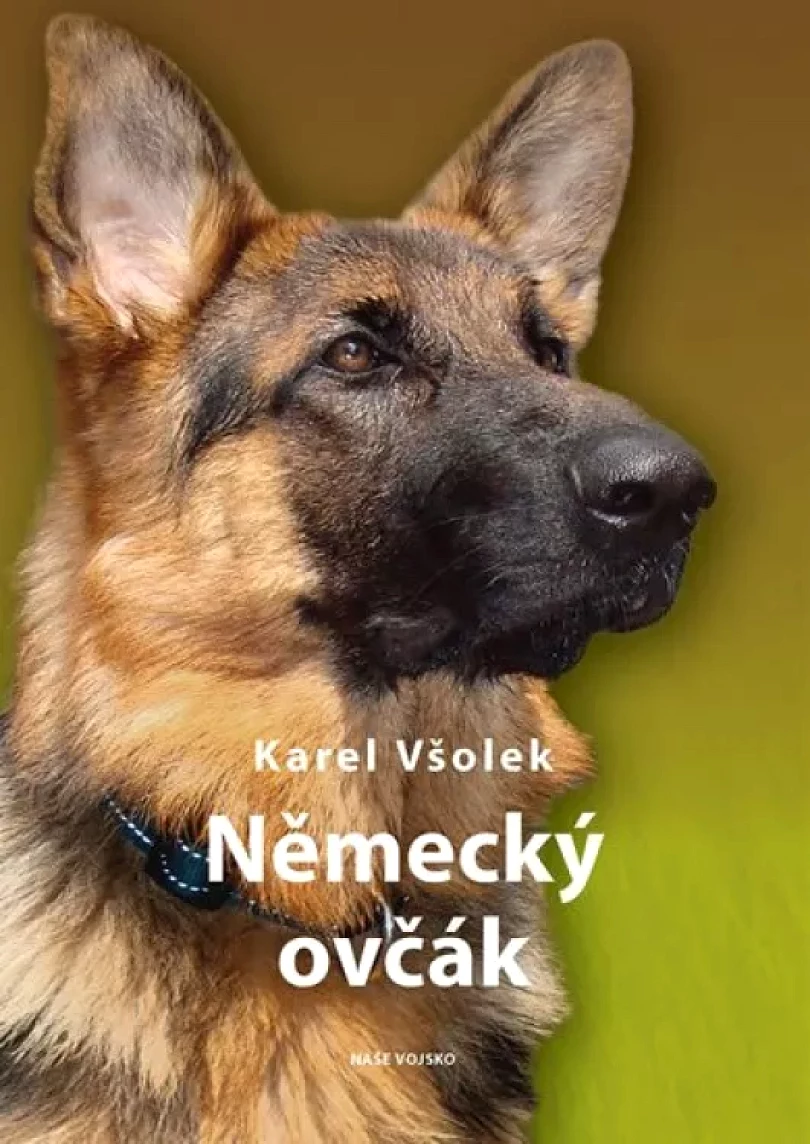 Německý ovčák (Karel Všolek, 2020)