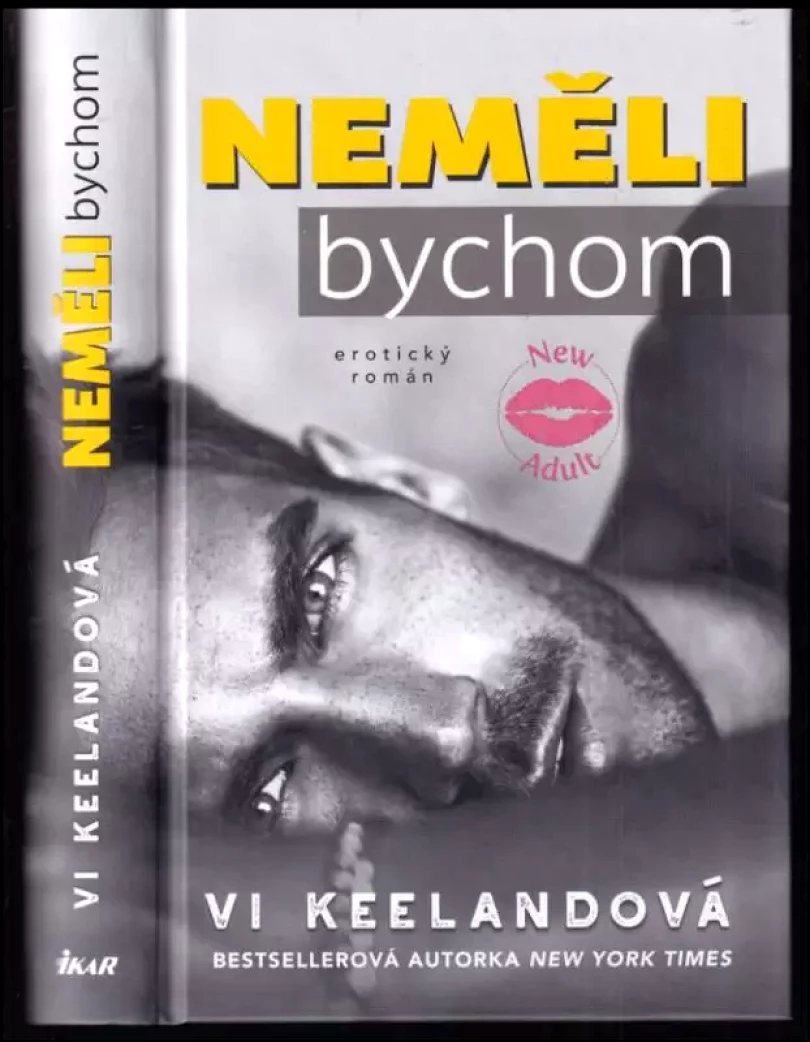 Levně Neměli bychom (Vi Keeland, 2021)