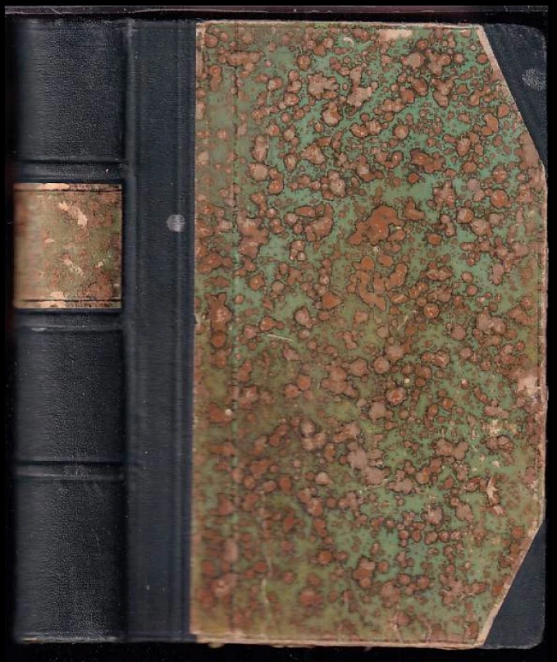 Levně Nepatrná paní (Wilhelmine Heimburg, 1914)
