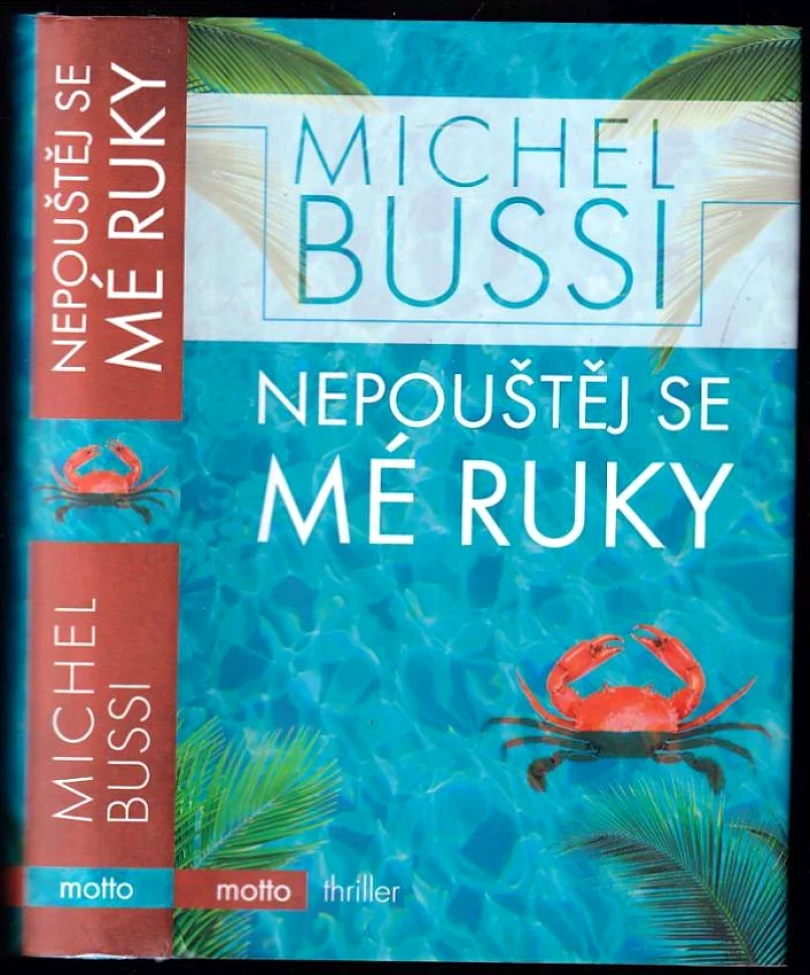 Nepouštěj se mé ruky (Michel Bussi, 2018)