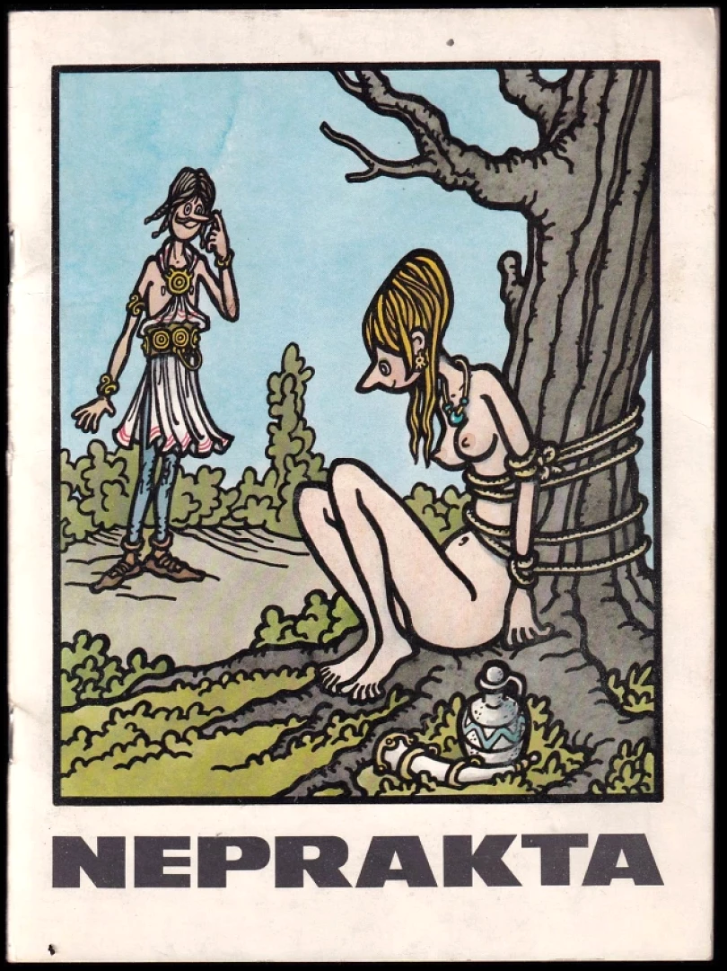 Levně Neprakta (Miloslav Švandrlík, 1980)