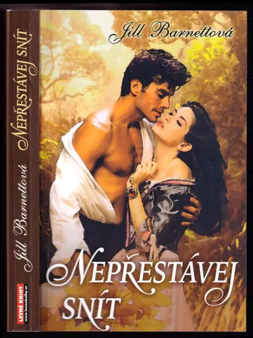 Levně Nepřestávej snít (Jill Barnett, 2009)