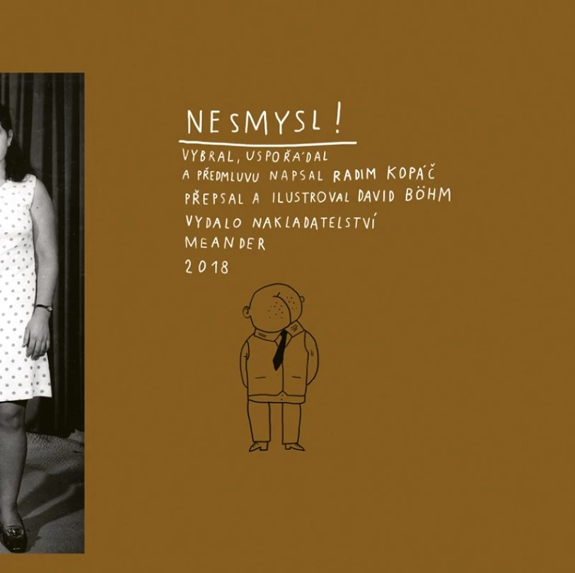 Levně Nesmysl (Kopáč Radim, 2020)