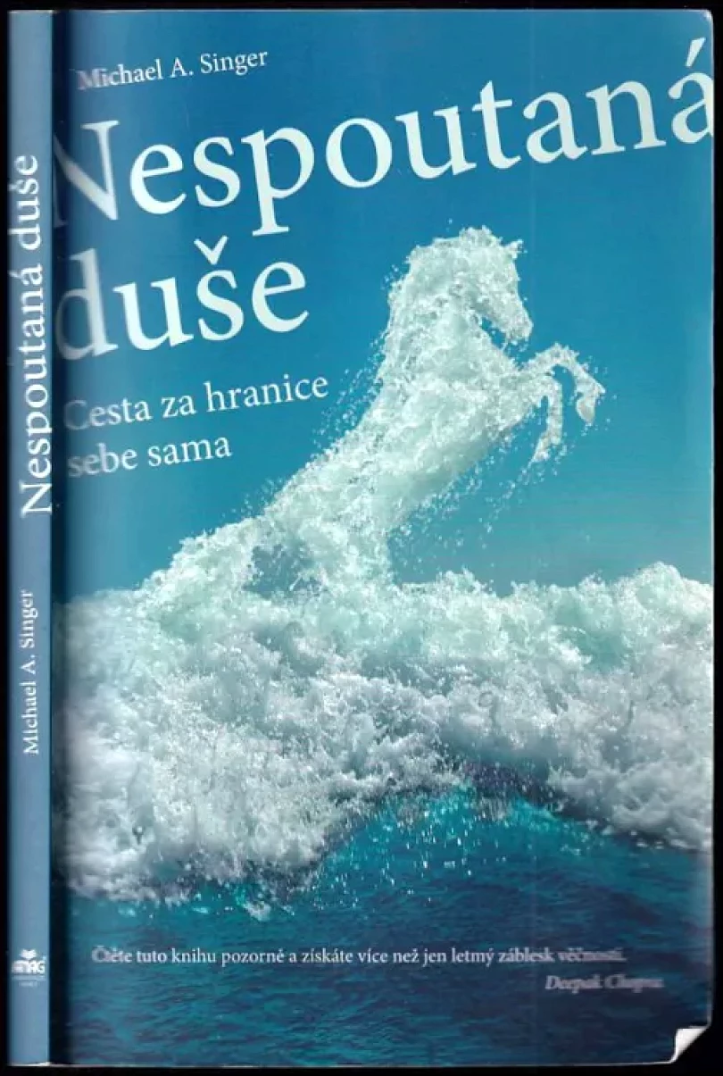 Nespoutaná duše (Michael A Singer, 2014)