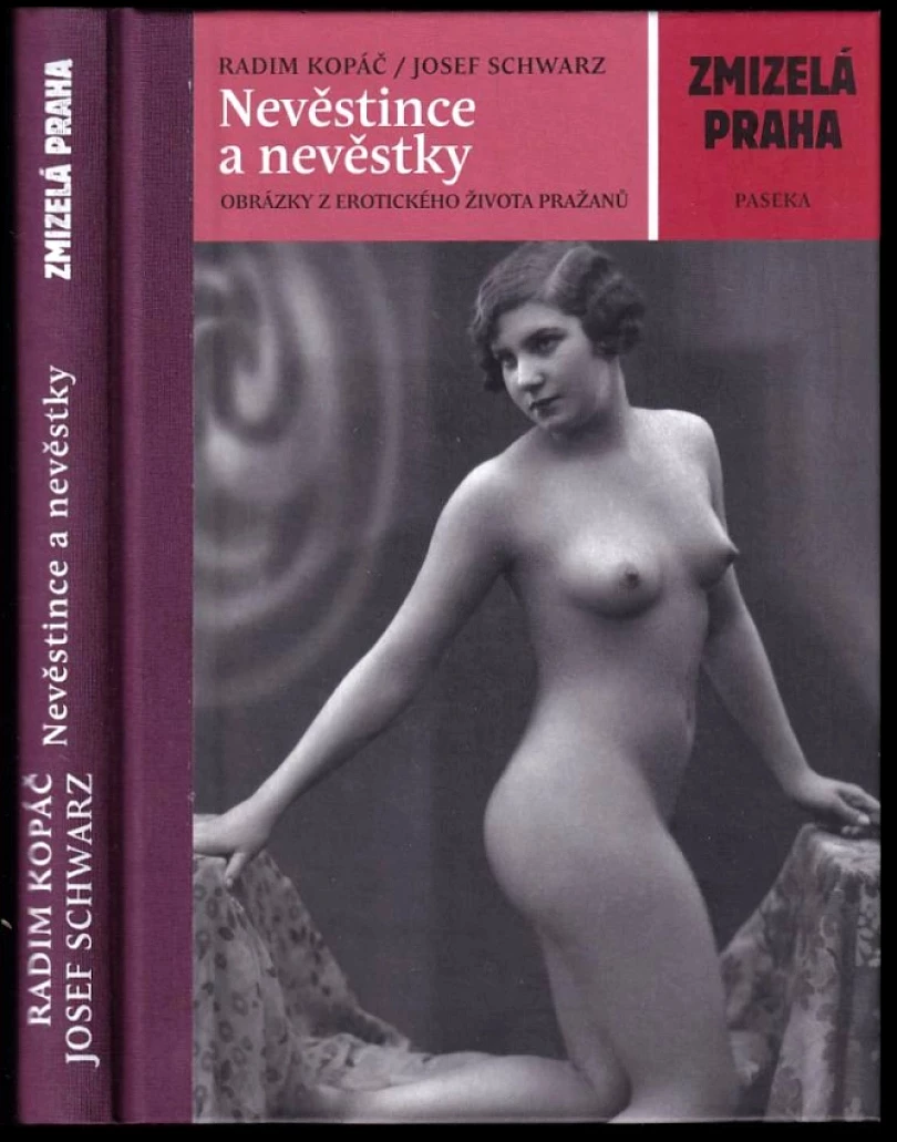 Levně Nevěstince a nevěstky (Radim Kopáč, 2013)