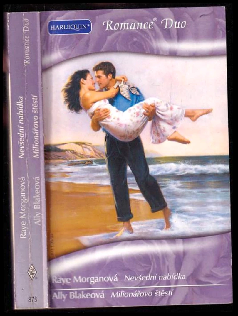 Levně Nevšední nabídka (Raye Morgan, 2009)