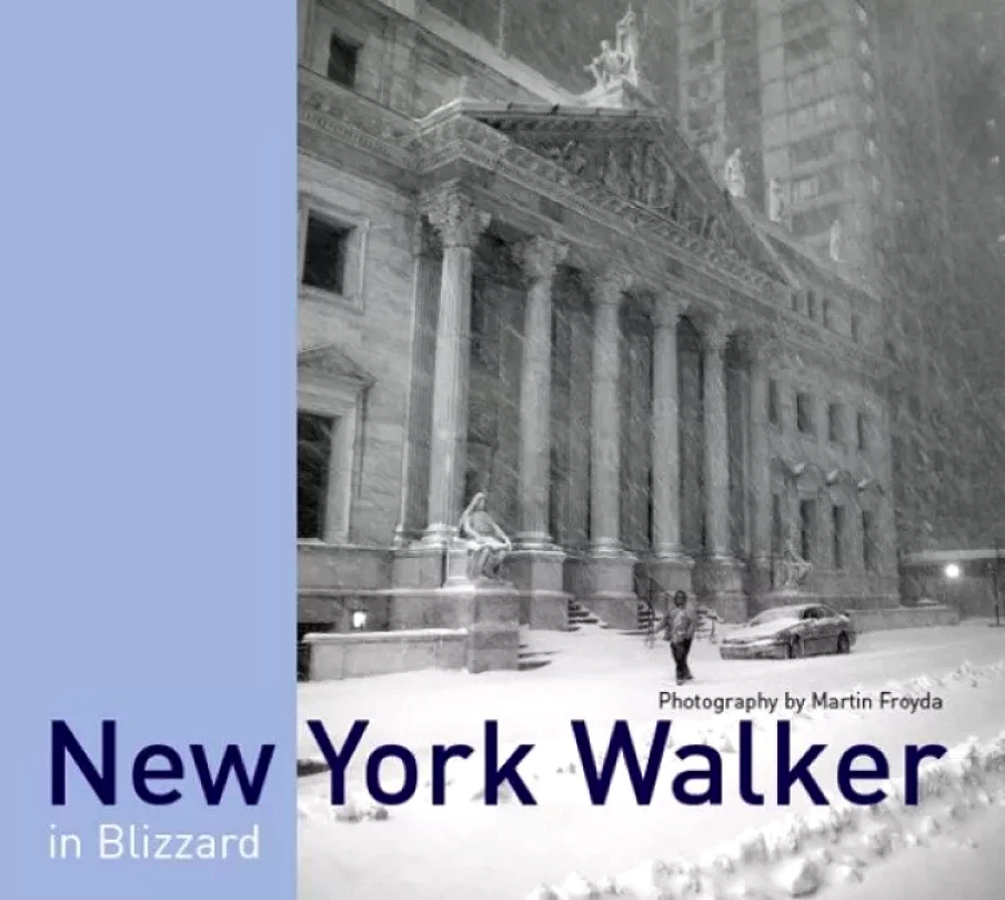 Levně New York Walker in Blizzard (Martin Froyda, 2013)