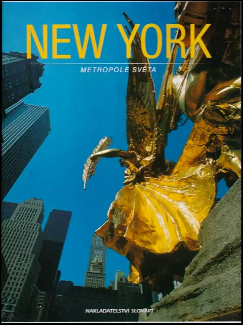 Levně New York (Werner W Wille, 2002)