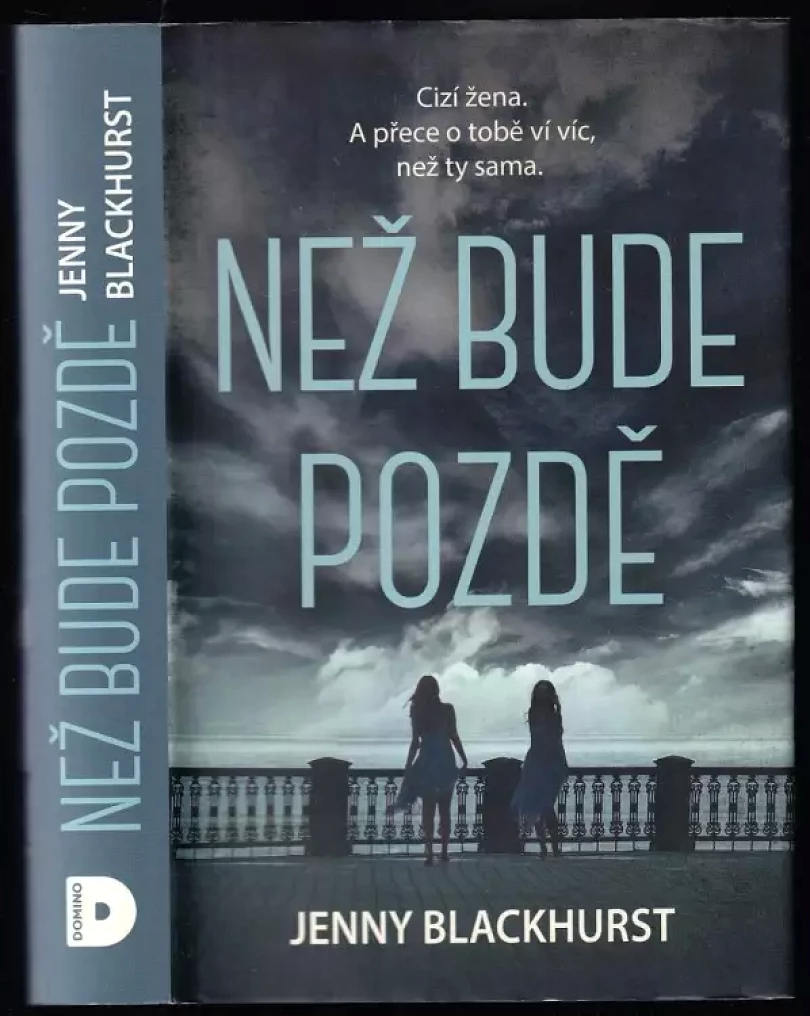 Levně Než bude pozdě (Jenny Blackhurst, 2021)