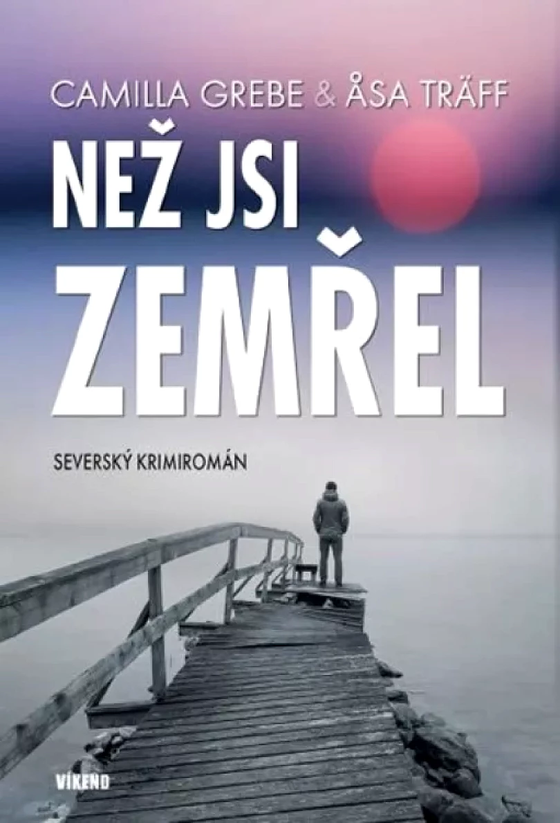 Levně Než jsi zemřel (Camilla Grebe, 2015)
