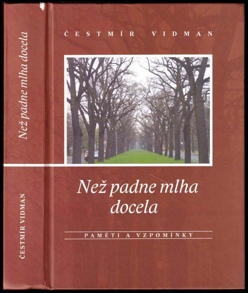Než padne mlha docela (Čestmír Vidman, 2006)