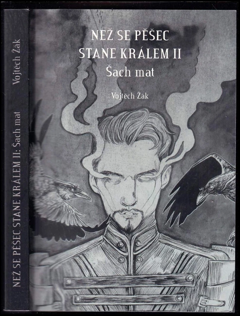 Levně Než se pěšec stane králem II (Vojtěch Žák, 2018)