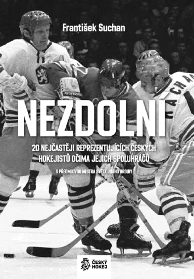 Nezdolní (František Suchán, 2019)