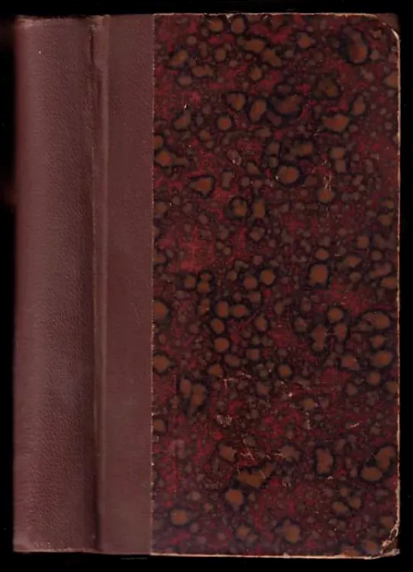 Něžný (Louis de Robert, 1902)