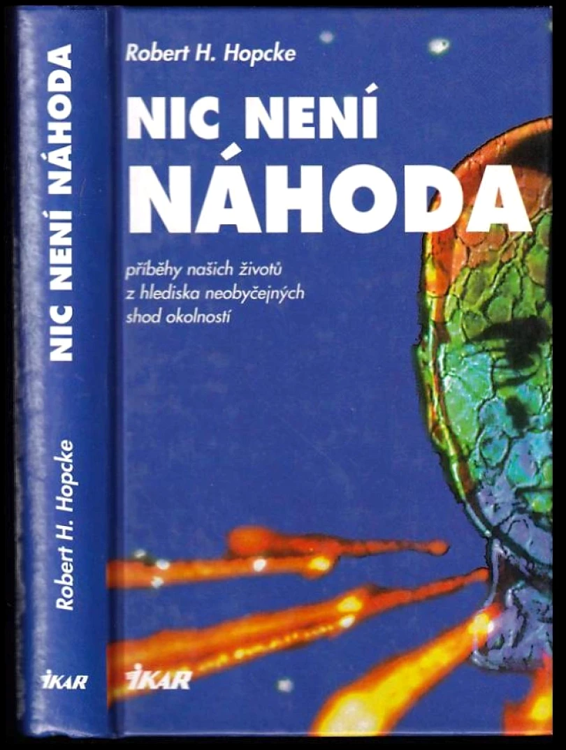 Levně Nic není náhoda (Robert H Hopcke, 1998)