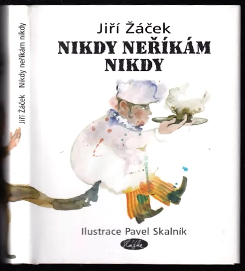 Levně Nikdy neříkám nikdy (Jiří Žáček, 2006)