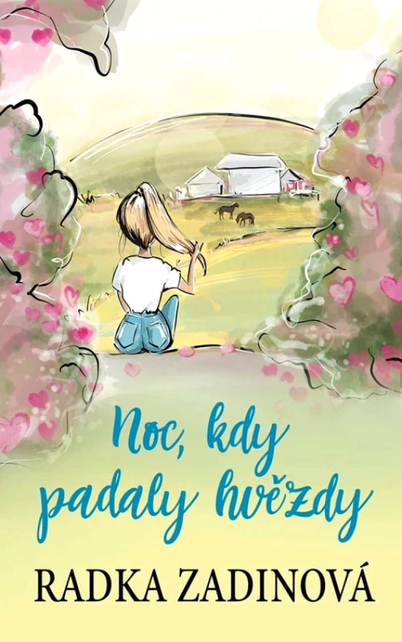 Levně Noc, kdy padaly hvězdy (Radka Zadinová, 2018)