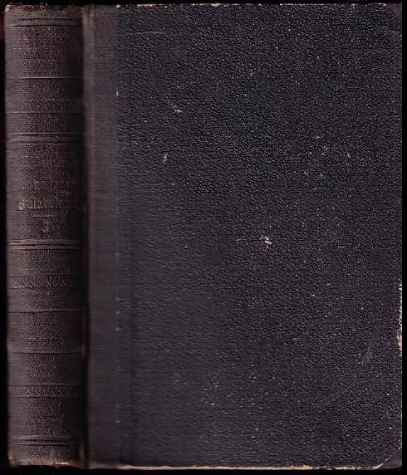 Levně Noc na jezeru Bulavském Díl 3 (Emilie Flygare-Carlén, 1877)