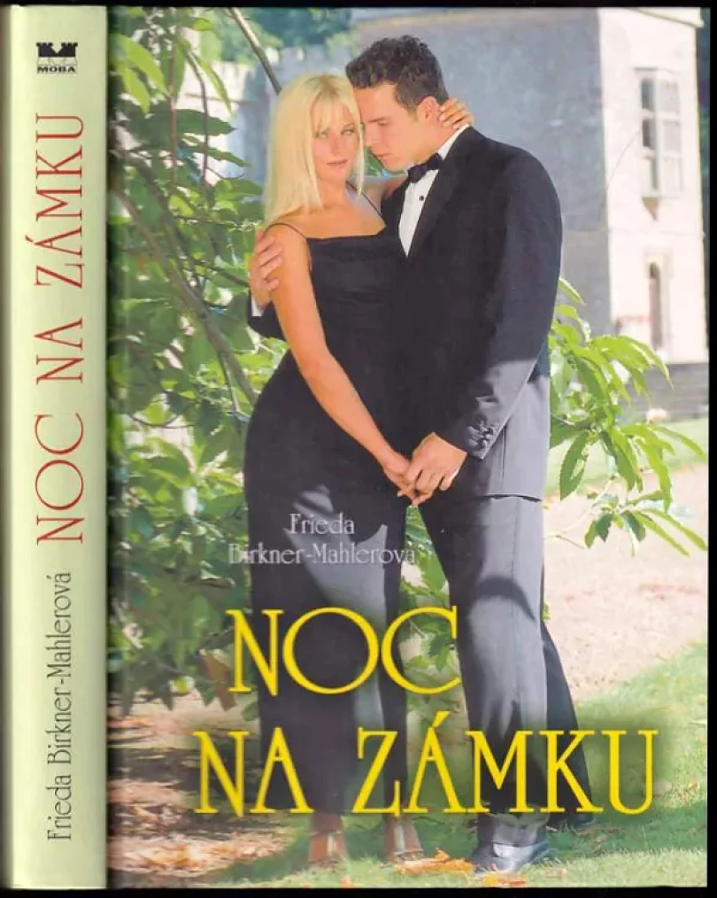 Levně Noc na zámku (Frieda Birkner-Mahler, 2008)