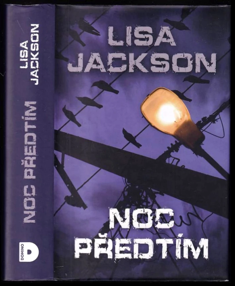 Noc předtím (Lisa Jackson, 2014)