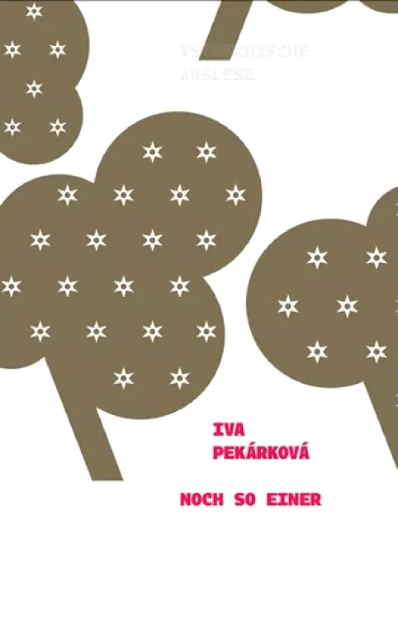 Levně Noch so einer (Iva Pekárková, 2018)