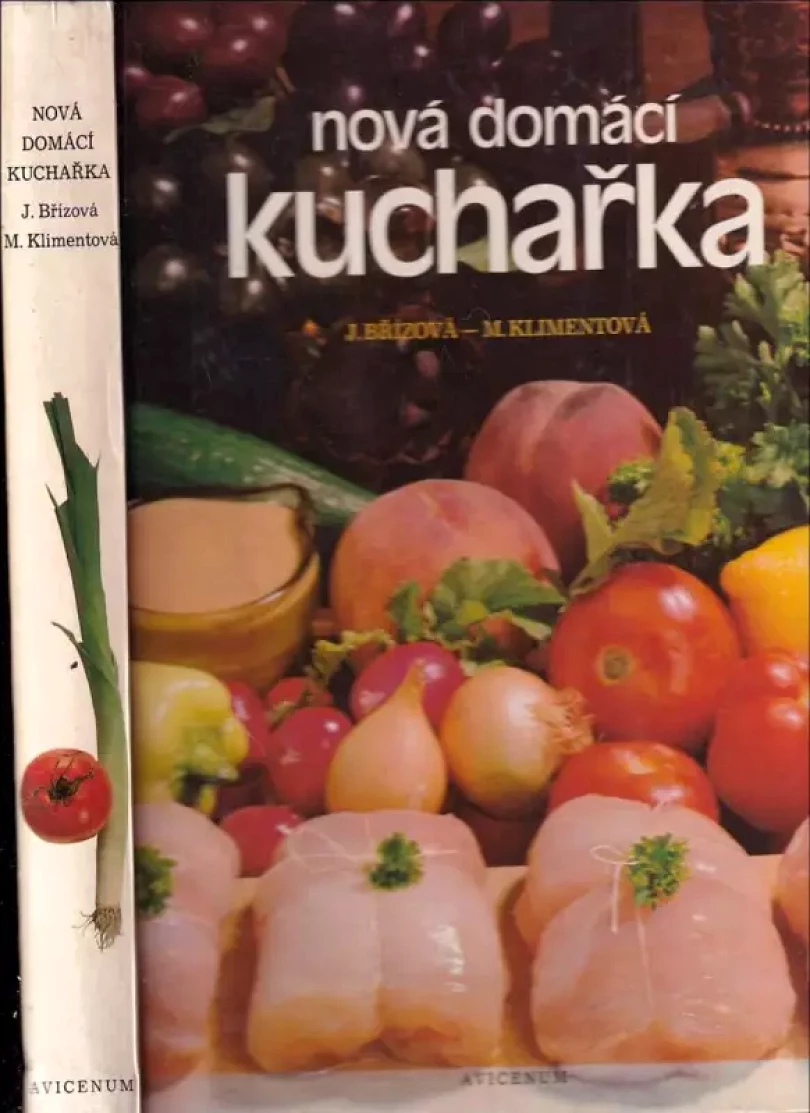 Nová domácí kuchařka (Joza Břízová, 1981)