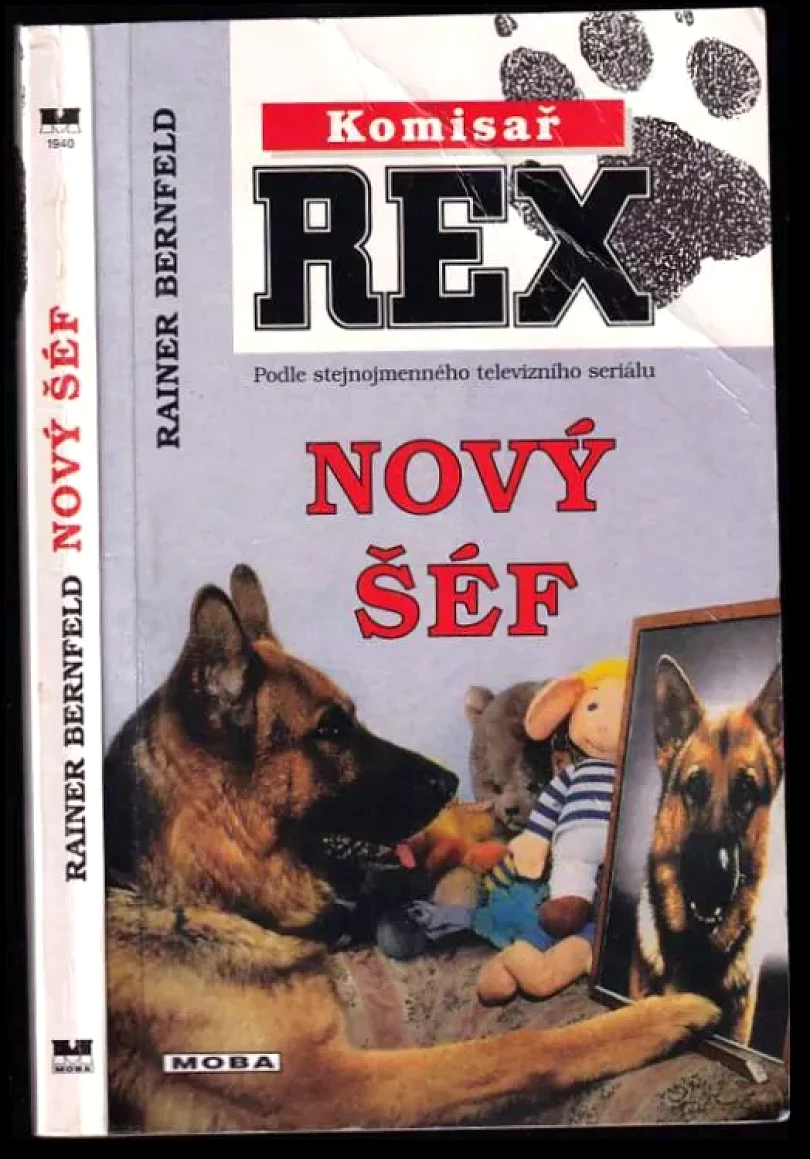 Levně Nový šéf (Rainer Bernfeld, 1999)