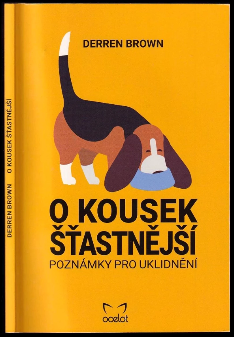 Levně O kousek šťastnější (Derren Brown, 2021)