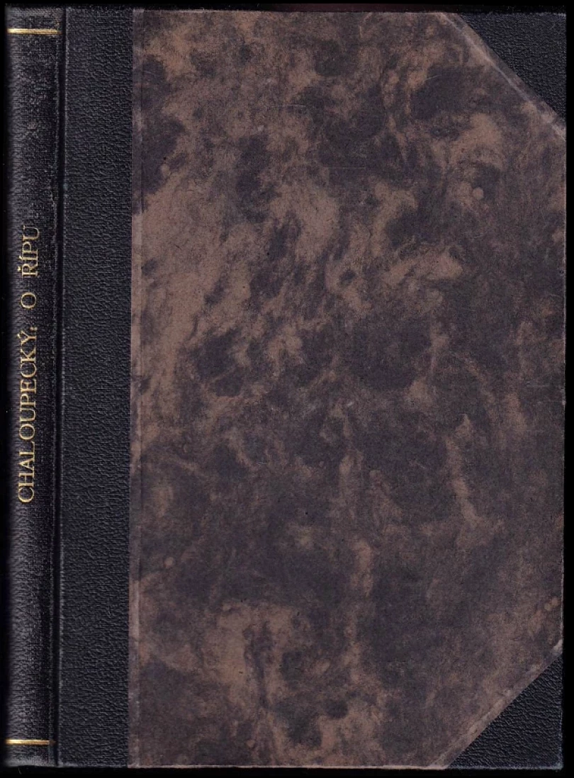 O Řipu (Václav Chaloupecký, 1919)