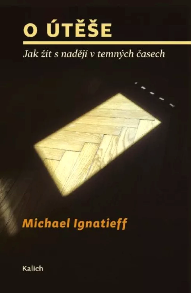 O útěše (Michael Ignatieff, 2023)