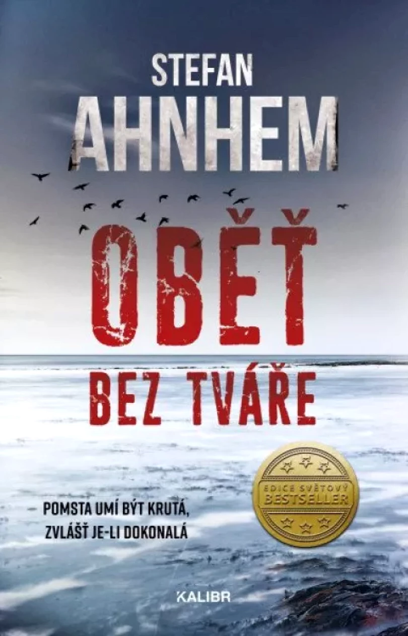 Levně Oběť bez tváře (Stefan Ahnhem, 2022)