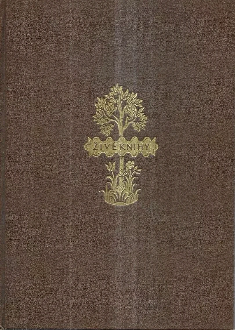 Levně Oblouzení (Božena Benešová, 1923)