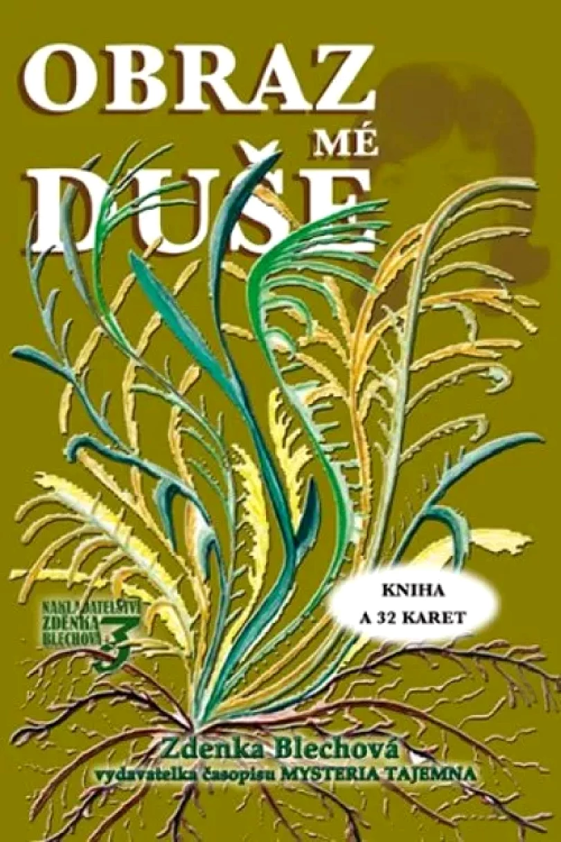 Obraz mé duše (Zdenka Blechová, 2015)