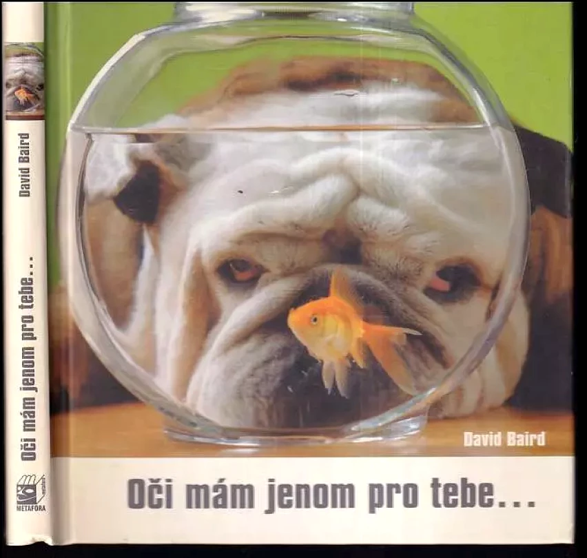 Levně Oči mám jen pro Tebe (David Baird, 2005)