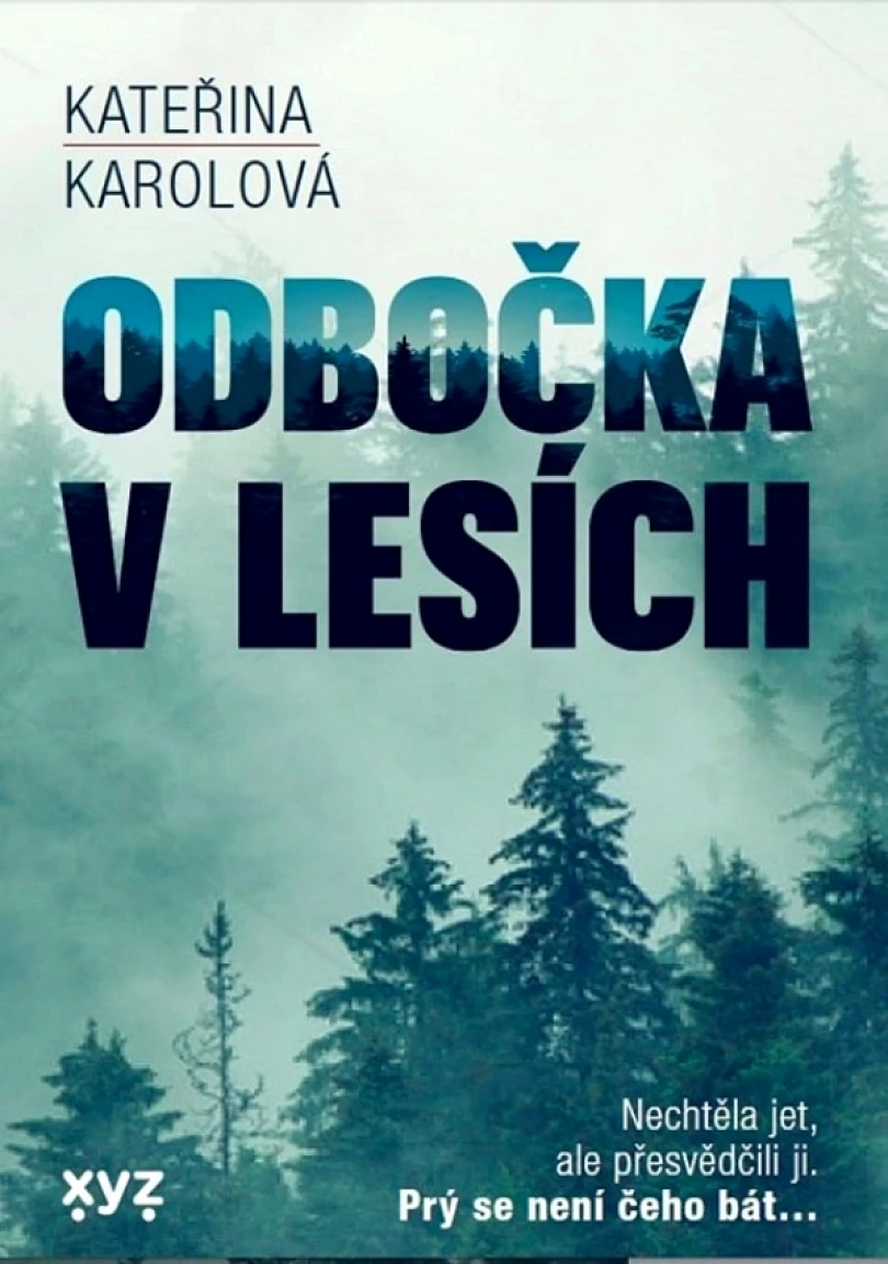Odbočka v lesích (Kateřina Karolová, 2022)