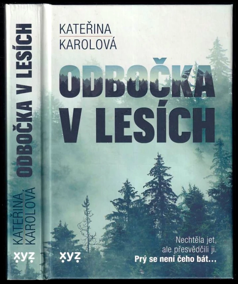 Odbočka v lesích (Kateřina Karolová, 2022)
