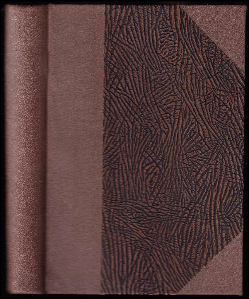Levně Odbojnice (Marcelle Tinayre, 1926)
