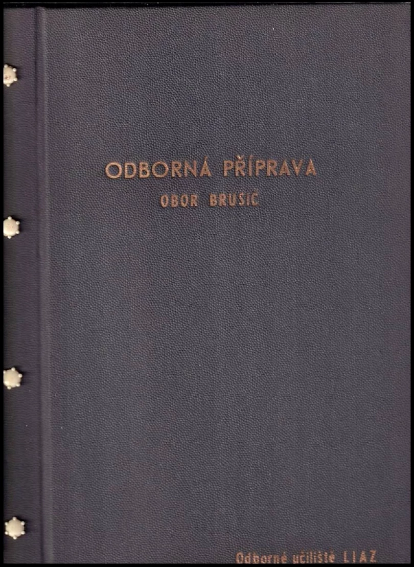 Levně Odborná příprava - obor brusič (, )
