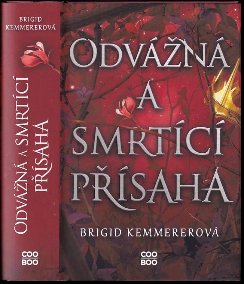 Levně Odvážná a smrtící přísaha (Brigid Kemmerer, 2022)