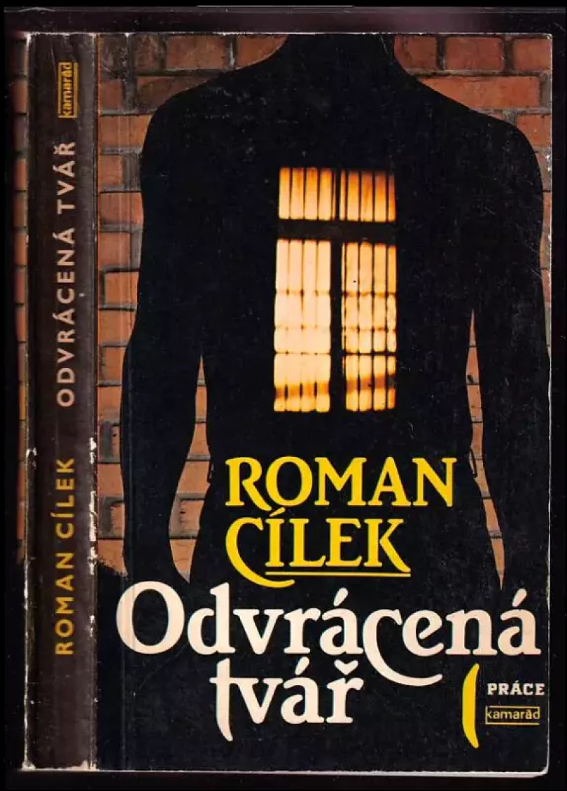 Levně Odvrácená tvář (Roman Cílek, 1989)
