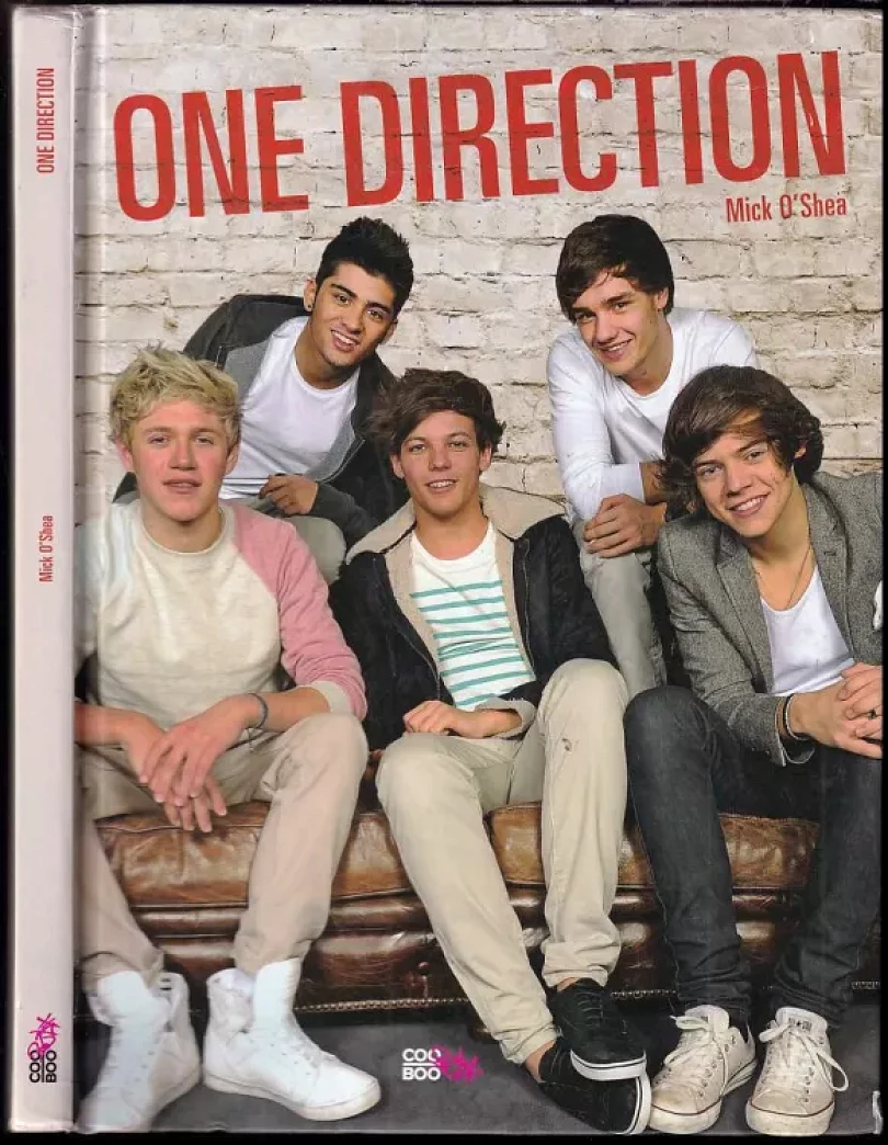 One Direction (Mick O'Shea, 2013)