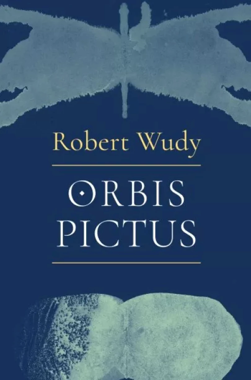 Levně Orbis pictus (Robert Wudy, 2022)
