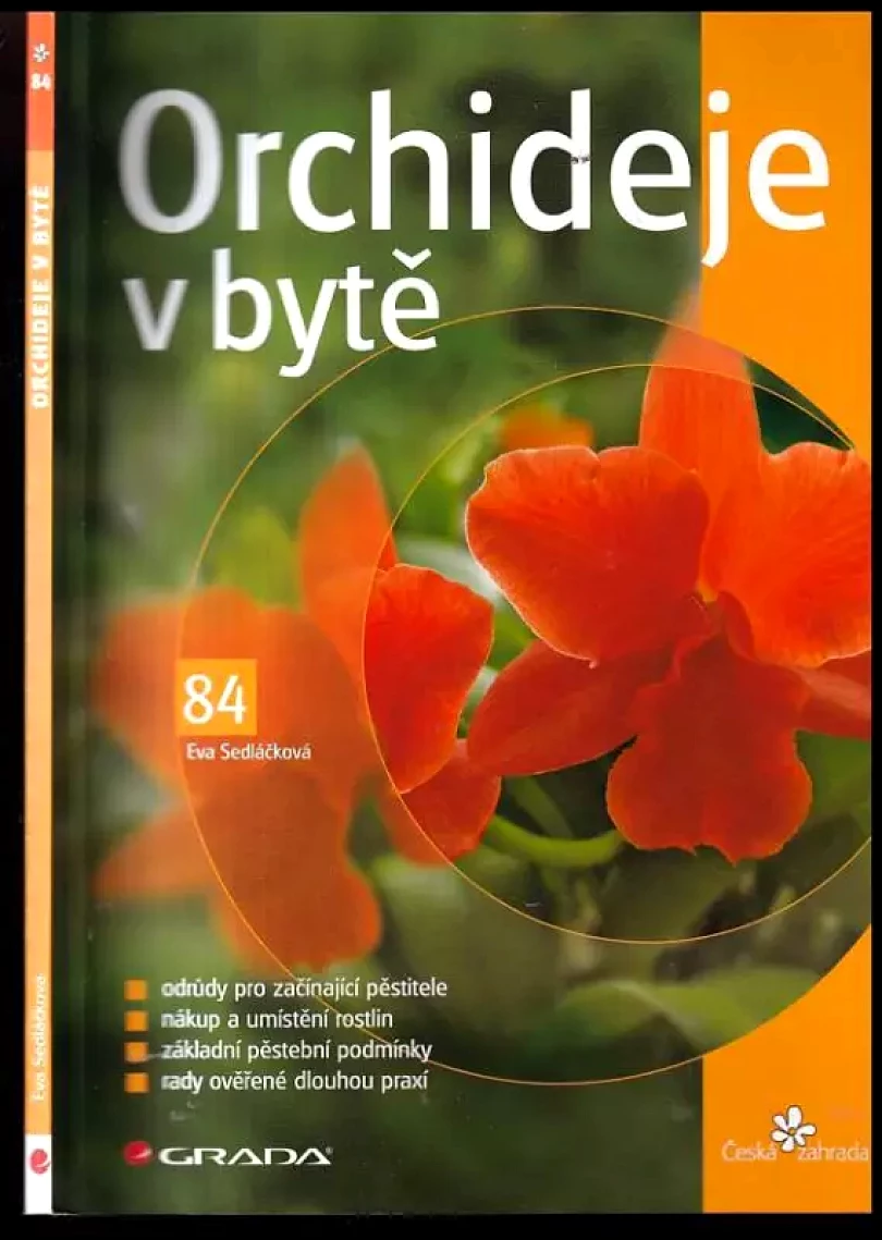 Levně Orchideje v bytě (Eva Sedláčková, 2006)