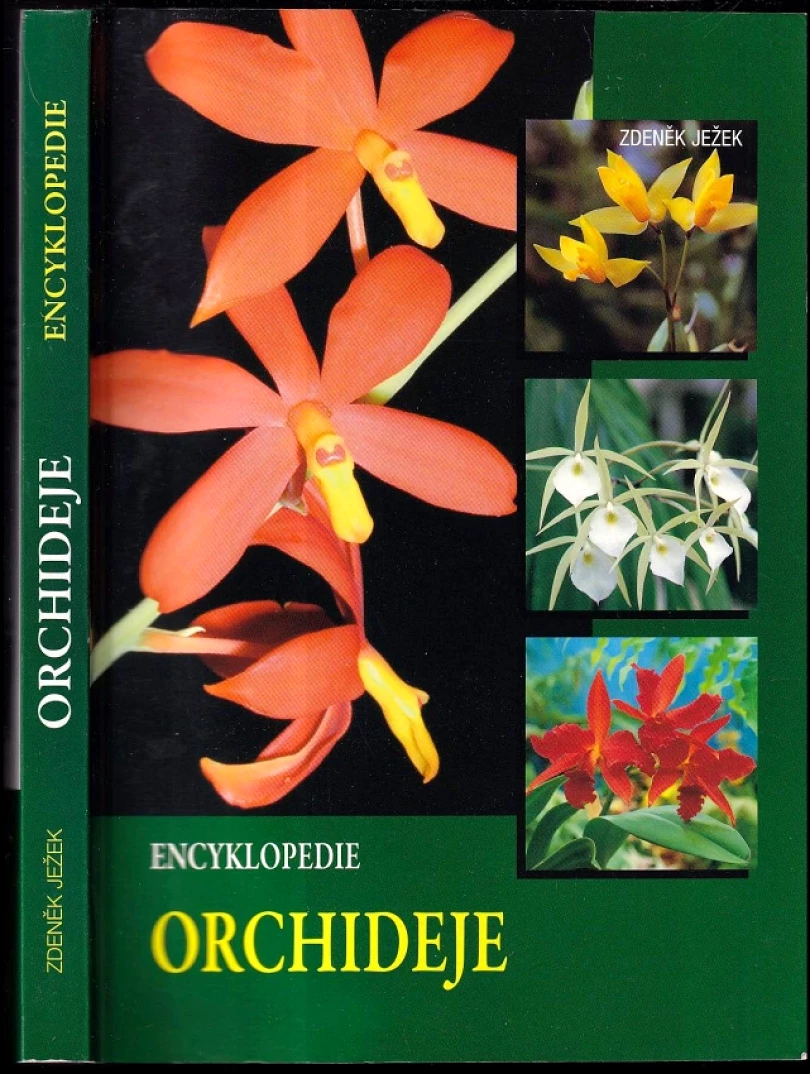 Orchideje (Zdeněk Ježek, 2010)