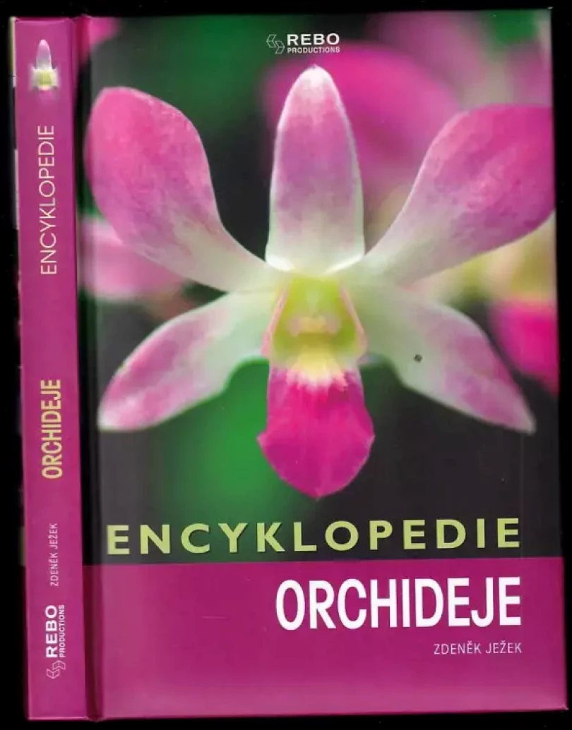 Orchideje (Zdeněk Ježek, 2006)