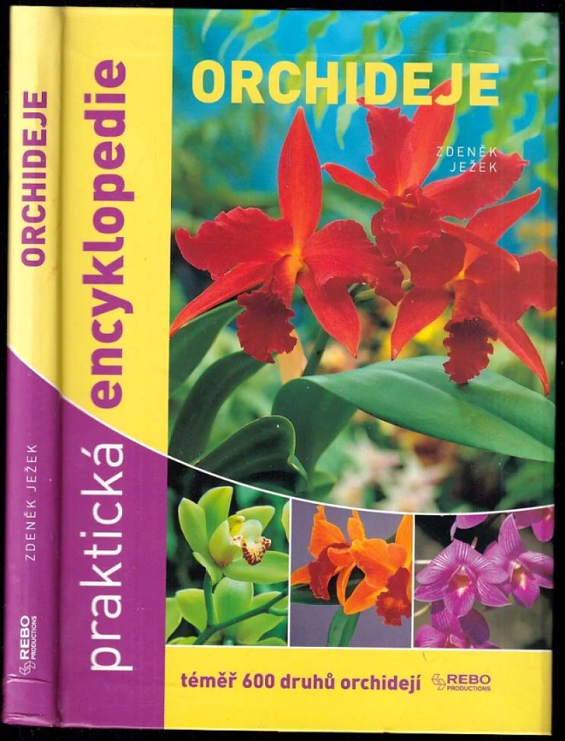 Orchideje (Zdeněk Ježek, 2012)