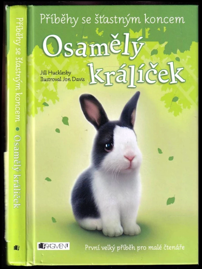 Levně Osamělý králíček (Jill Hucklesby, 2015)